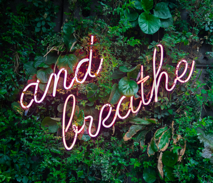 Neon words 'and breathe' hanging from a hedge